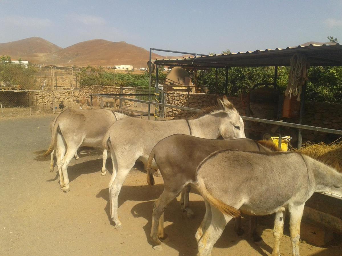 Agroturismo La Gayria Tiscamanita 外观 照片