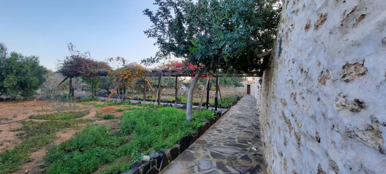 Agroturismo La Gayria Tiscamanita 外观 照片