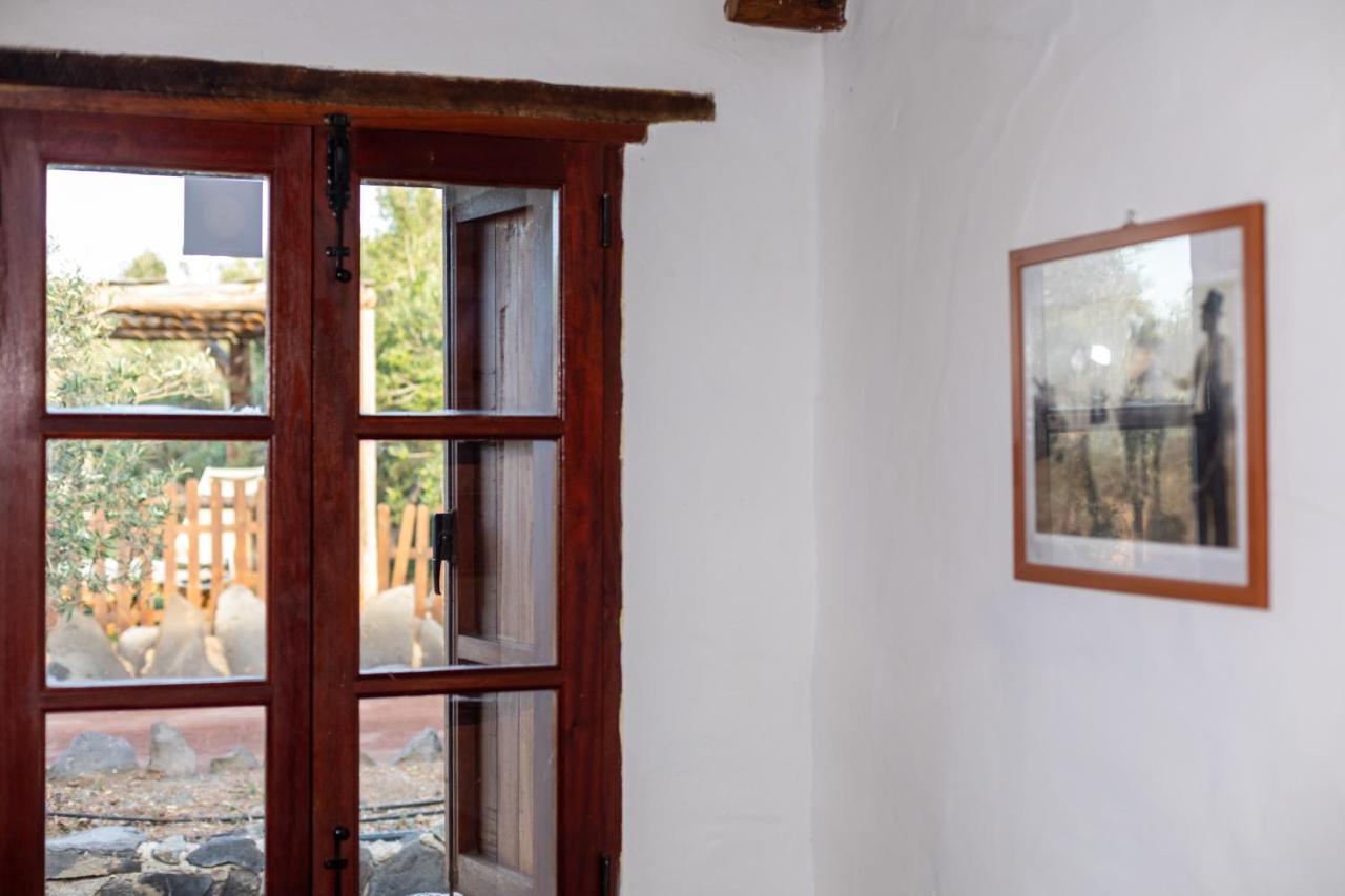 Agroturismo La Gayria Tiscamanita 外观 照片