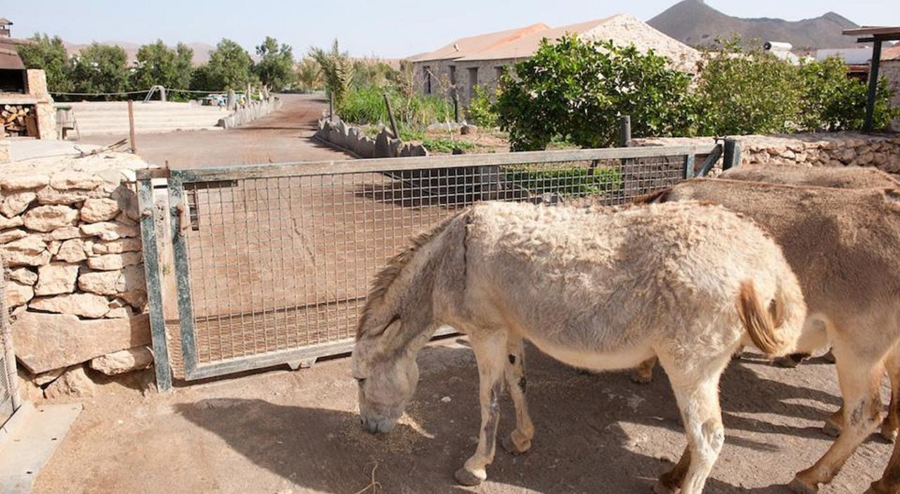 Agroturismo La Gayria Tiscamanita 外观 照片